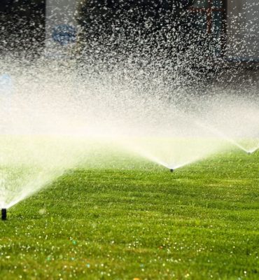 The Best Way to Get Your Sprinkler on This Summer